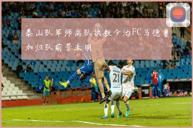 泰山队军师离队执教今治FC马德鲁加归队前景未明
