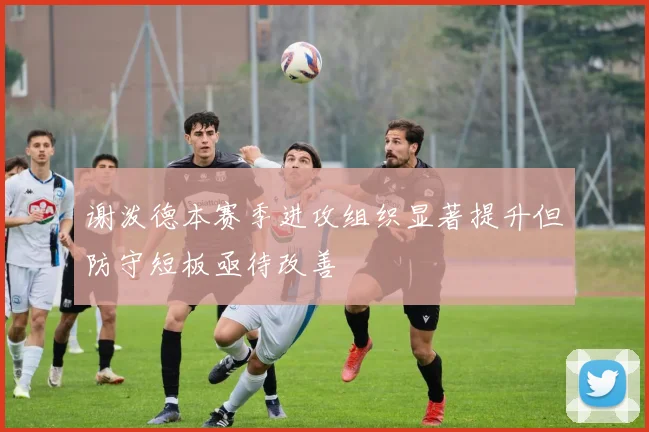 谢泼德本赛季进攻组织显著提升但防守短板亟待改善