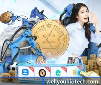 非凡国际 APP