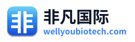 非凡国际